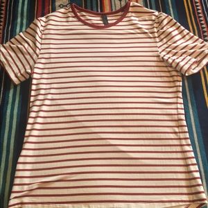 5 Year Basic T (updated fit)